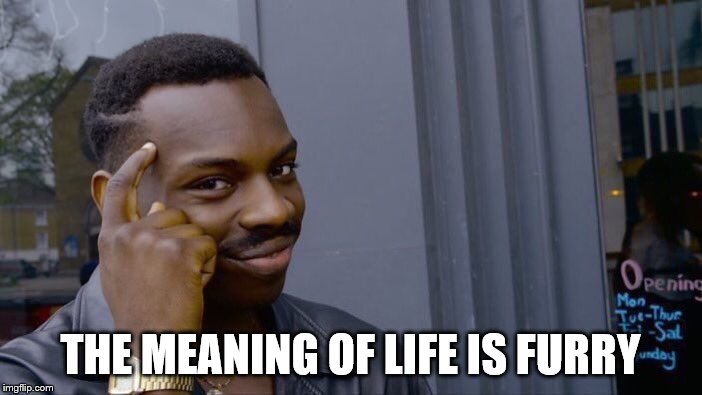 Roll Safe Think About It Meme | THE MEANING OF LIFE IS FURRY | image tagged in memes,roll safe think about it | made w/ Imgflip meme maker