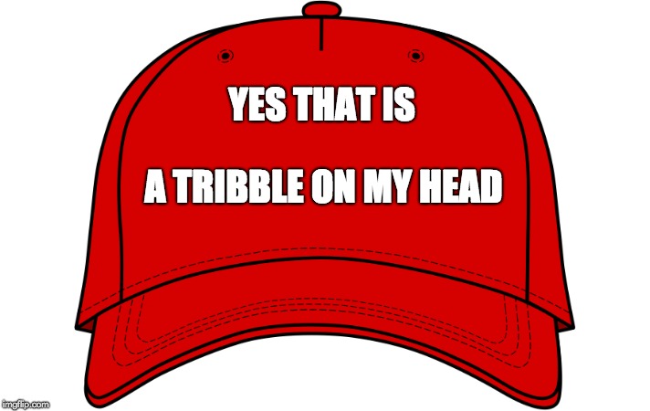 Trump hat | YES THAT IS; A TRIBBLE ON MY HEAD | image tagged in trump hat | made w/ Imgflip meme maker