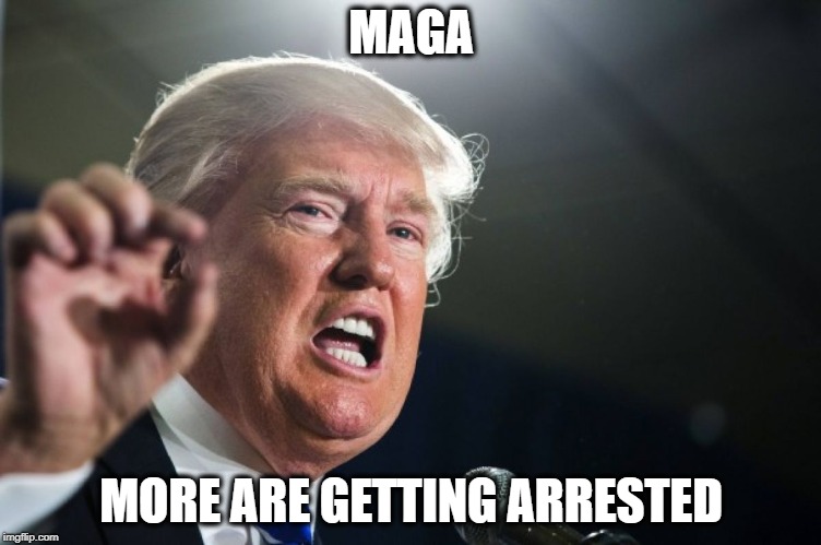MAGA | MAGA; MORE ARE GETTING ARRESTED | image tagged in trump,maga,robert mueller,indictment,roger stone | made w/ Imgflip meme maker