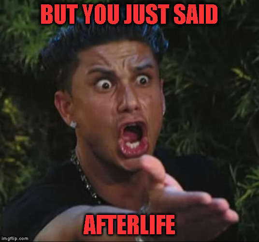 DJ Pauly D Meme | BUT YOU JUST SAID AFTERLIFE | image tagged in memes,dj pauly d | made w/ Imgflip meme maker