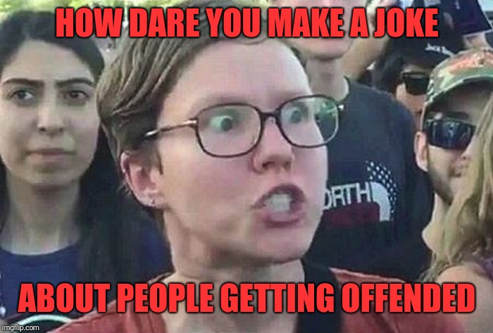 Triggered Liberal | HOW DARE YOU MAKE A JOKE ABOUT PEOPLE GETTING OFFENDED | image tagged in triggered liberal | made w/ Imgflip meme maker