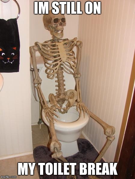 Skeleton on toilet | IM STILL ON MY TOILET BREAK | image tagged in skeleton on toilet | made w/ Imgflip meme maker