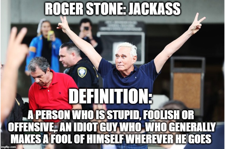 THE AMERICAN IDIOT | ROGER STONE: JACKASS; DEFINITION:; A PERSON WHO IS STUPID, FOOLISH OR OFFENSIVE,. AN IDIOT GUY WHO  WHO GENERALLY MAKES A FOOL OF HIMSELF WHEREVER HE GOES | image tagged in jackass,roger,moron,thug,president trump | made w/ Imgflip meme maker