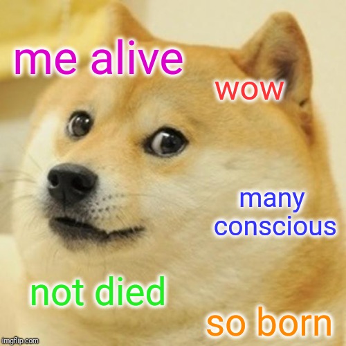 Doge Meme | me alive wow not died many conscious so born | image tagged in memes,doge | made w/ Imgflip meme maker