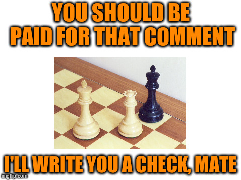 YOU SHOULD BE PAID FOR THAT COMMENT I'LL WRITE YOU A CHECK, MATE | made w/ Imgflip meme maker