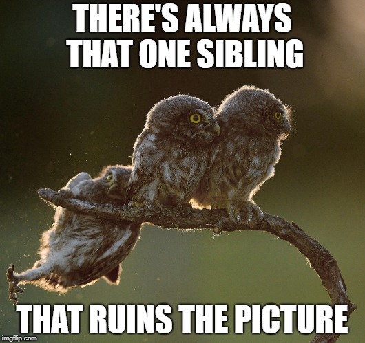 THERE'S ALWAYS THAT ONE SIBLING; THAT RUINS THE PICTURE | made w/ Imgflip meme maker