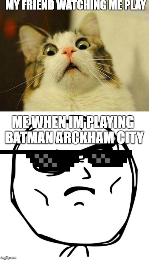 MY FRIEND WATCHING ME PLAY; ME WHEN IM PLAYING BATMAN ARCKHAM CITY | image tagged in memes,determined guy rage face,scared cat | made w/ Imgflip meme maker