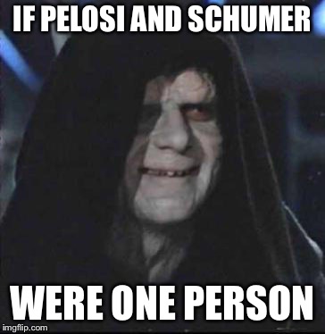 Sidious Error | IF PELOSI AND SCHUMER; WERE ONE PERSON | image tagged in memes,sidious error | made w/ Imgflip meme maker