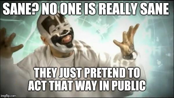 Insane Clown Posse | SANE? NO ONE IS REALLY SANE THEY JUST PRETEND TO ACT THAT WAY IN PUBLIC | image tagged in insane clown posse | made w/ Imgflip meme maker
