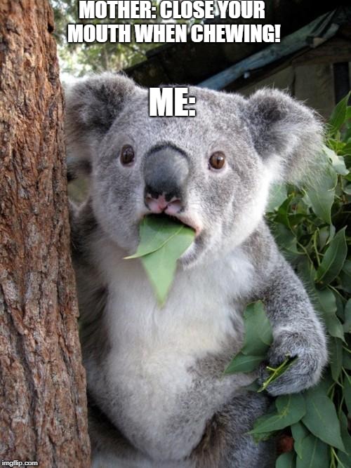 Surprised Koala Meme | MOTHER: CLOSE YOUR MOUTH WHEN CHEWING! ME: | image tagged in memes,surprised koala | made w/ Imgflip meme maker