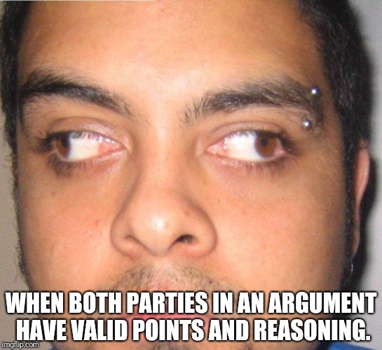 A rare occasion, but it happens! | WHEN BOTH PARTIES IN AN ARGUMENT HAVE VALID POINTS AND REASONING. | image tagged in crossed eyes,argument | made w/ Imgflip meme maker