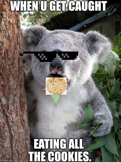 Surprised Koala | WHEN U GET CAUGHT; EATING ALL THE COOKIES. | image tagged in memes,surprised koala | made w/ Imgflip meme maker