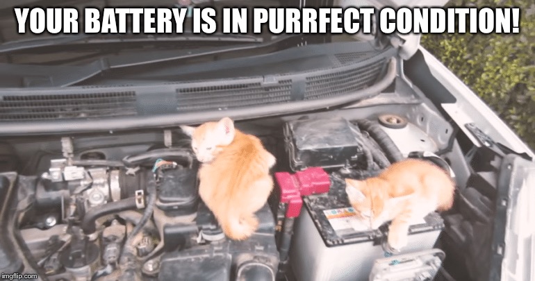 YOUR BATTERY IS IN PURRFECT CONDITION! | image tagged in cat mechanics | made w/ Imgflip meme maker
