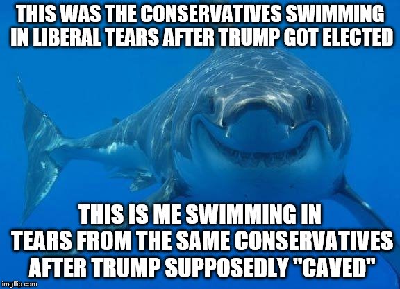 Schadenfreude works both ways, I'm just sayin'. | THIS WAS THE CONSERVATIVES SWIMMING IN LIBERAL TEARS AFTER TRUMP GOT ELECTED; THIS IS ME SWIMMING IN TEARS FROM THE SAME CONSERVATIVES AFTER TRUMP SUPPOSEDLY "CAVED" | image tagged in schadenfruede shark,trump shutdown,border wall | made w/ Imgflip meme maker