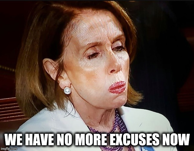 Nancy Pelosi PB Sandwich | WE HAVE NO MORE EXCUSES NOW | image tagged in nancy pelosi pb sandwich | made w/ Imgflip meme maker