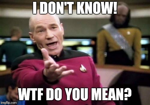 Picard Wtf Meme | I DON'T KNOW! WTF DO YOU MEAN? | image tagged in memes,picard wtf | made w/ Imgflip meme maker