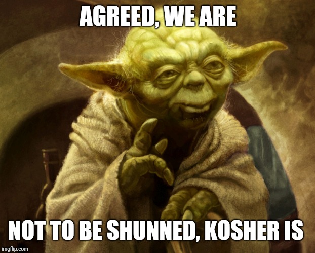 Agreed | AGREED, WE ARE NOT TO BE SHUNNED, KOSHER IS | image tagged in agreed | made w/ Imgflip meme maker