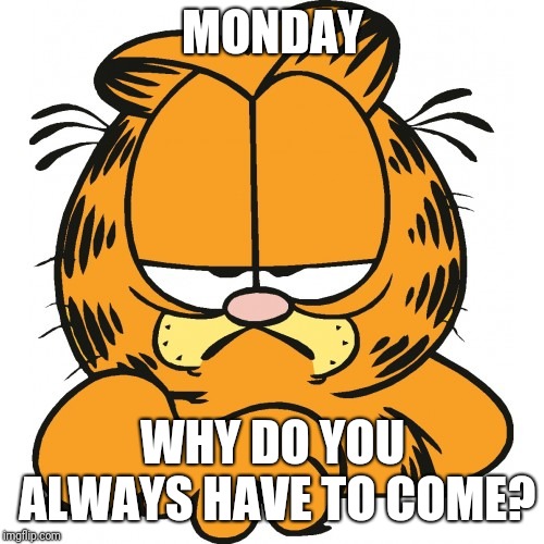 Garfield | MONDAY WHY DO YOU ALWAYS HAVE TO COME? | image tagged in garfield | made w/ Imgflip meme maker