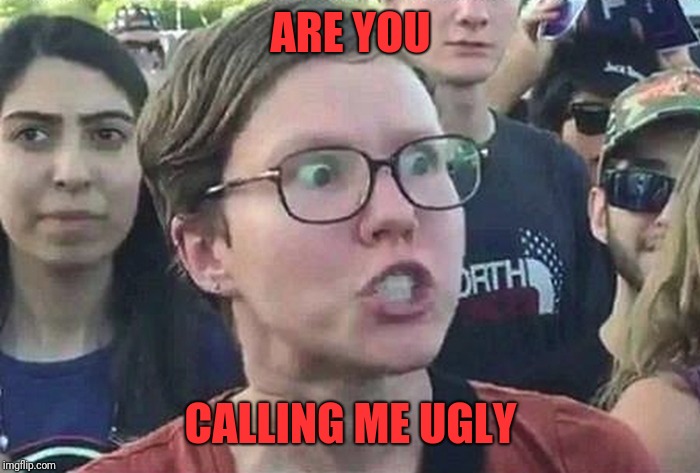 Triggered Liberal | ARE YOU CALLING ME UGLY | image tagged in triggered liberal | made w/ Imgflip meme maker