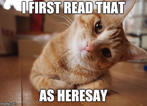 Curious Question Cat | I FIRST READ THAT AS HERESAY | image tagged in curious question cat | made w/ Imgflip meme maker