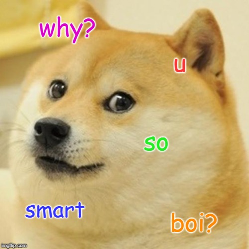 Doge Meme | why? u so smart boi? | image tagged in memes,doge | made w/ Imgflip meme maker