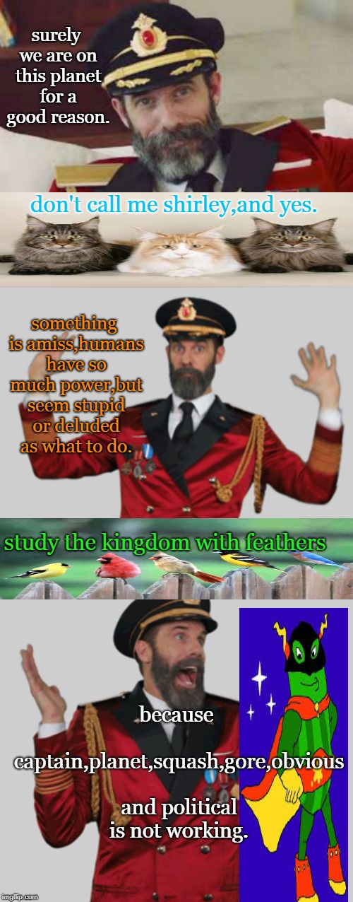 captain obvious would wonder what to do about the current mess called the internet.the animals show more smarts. | surely we are on this planet for a good reason. don't call me shirley,and yes. something is amiss,humans have so much power,but seem stupid or deluded as what to do. because captain,planet,squash,gore,obvious and political is not working. study the kingdom with feathers | image tagged in captain obvious,animal kingdom,barnyard smarts,memes,don't call me shirley | made w/ Imgflip meme maker