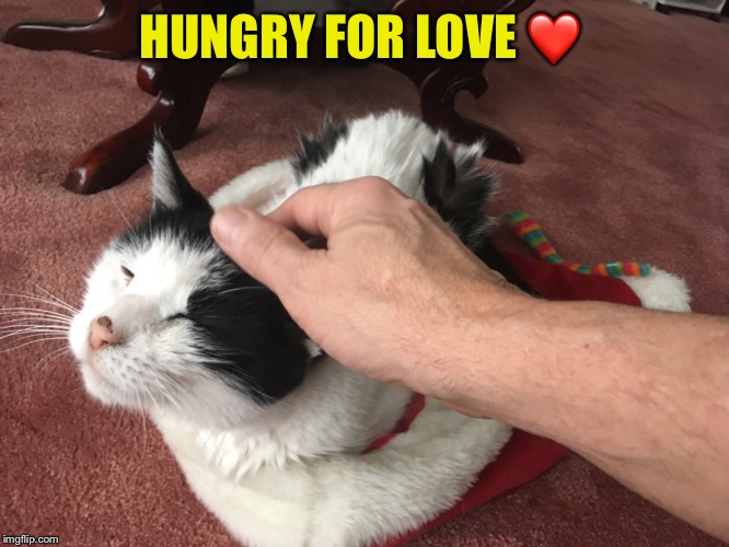 HUNGRY FOR LOVE ❤️ | made w/ Imgflip meme maker