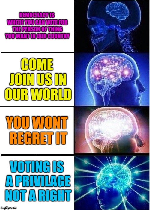 Expanding Brain Meme | DEMOCRACY IS WHERE YOU CAN VOTE FOR THE PERSON OF THING YOU WANT IN OUR COUNTRY; COME JOIN US IN OUR WORLD; YOU WONT REGRET IT; VOTING IS A PRIVILAGE NOT A RIGHT | image tagged in memes,expanding brain | made w/ Imgflip meme maker