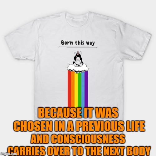 Free will, karma, reincarnation | BECAUSE IT WAS CHOSEN IN A PREVIOUS LIFE; AND CONSCIOUSNESS CARRIES OVER TO THE NEXT BODY | image tagged in gay pride,pride,lgbt,karma,reincarnation,spirituality | made w/ Imgflip meme maker