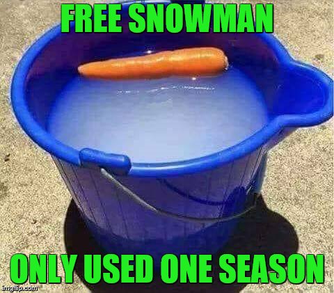 Free Snowman | FREE SNOWMAN; ONLY USED ONE SEASON | image tagged in memes,snowman,snow,snow joke,carrots | made w/ Imgflip meme maker