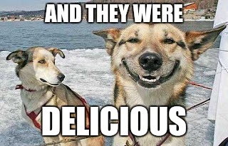 Original Stoner Dog Meme | AND THEY WERE DELICIOUS | image tagged in memes,original stoner dog | made w/ Imgflip meme maker