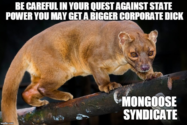 corporate cocks hurt more  | BE CAREFUL IN YOUR QUEST AGAINST STATE POWER YOU MAY GET A BIGGER CORPORATE DICK; MONGOOSE SYNDICATE | image tagged in communist socialist | made w/ Imgflip meme maker