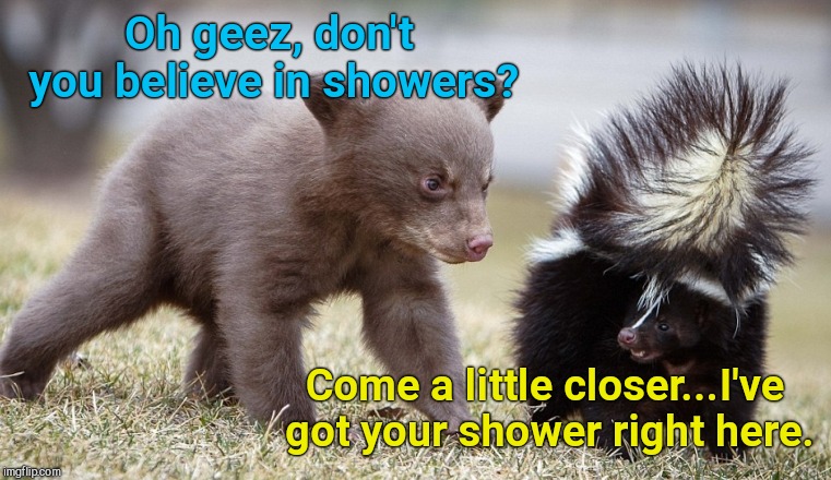 Oh geez, don't you believe in showers? Come a little closer...I've got your shower right here. | image tagged in you're a little ripe,bear,skunk,cute | made w/ Imgflip meme maker