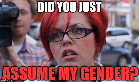 Angry Feminist | DID YOU JUST ASSUME MY GENDER? | image tagged in angry feminist | made w/ Imgflip meme maker