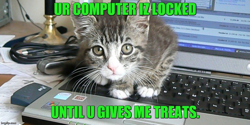 Ransomware kitty | UR COMPUTER IZ LOCKED; UNTIL U GIVES ME TREATS. | image tagged in memes,cats,funny cats,computers,ransomware | made w/ Imgflip meme maker