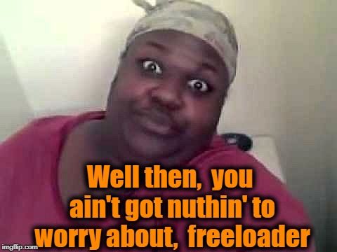 Black woman | Well then,  you ain't got nuthin' to worry about,  freeloader | image tagged in black woman | made w/ Imgflip meme maker