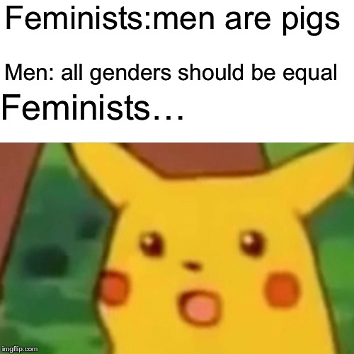 Surprised Pikachu Meme |  Feminists:men are pigs; Men: all genders should be equal; Feminists… | image tagged in memes,surprised pikachu | made w/ Imgflip meme maker