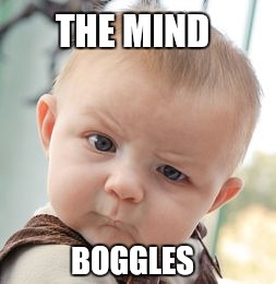 Skeptical Baby Meme | THE MIND BOGGLES | image tagged in memes,skeptical baby | made w/ Imgflip meme maker