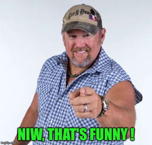 Larry the Cable Guy | NIW, THAT'S FUNNY ! | image tagged in larry the cable guy | made w/ Imgflip meme maker