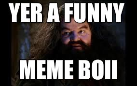 hagrid yer a wizard | YER A FUNNY MEME BOII | image tagged in hagrid yer a wizard | made w/ Imgflip meme maker
