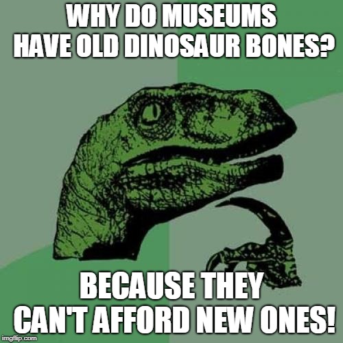 Philosoraptor Meme | WHY DO MUSEUMS HAVE OLD DINOSAUR BONES? BECAUSE THEY CAN'T AFFORD NEW ONES! | image tagged in memes,philosoraptor | made w/ Imgflip meme maker