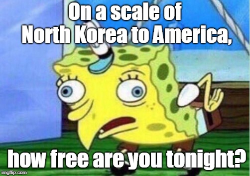 Mocking Spongebob | On a scale of North Korea to America, how free are you tonight? | image tagged in memes,mocking spongebob | made w/ Imgflip meme maker