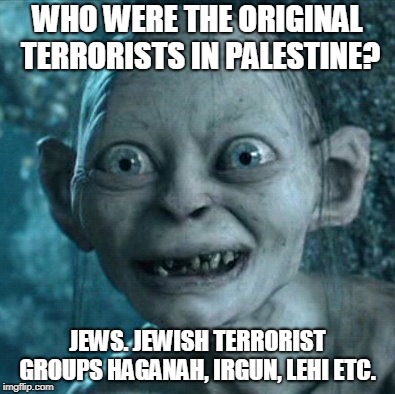 Gollum | WHO WERE THE ORIGINAL TERRORISTS IN PALESTINE? JEWS. JEWISH TERRORIST GROUPS HAGANAH, IRGUN, LEHI ETC. | image tagged in memes,gollum | made w/ Imgflip meme maker