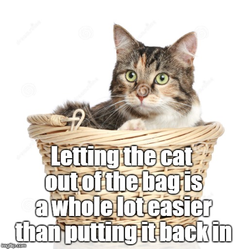 Cat in the basket | Letting the cat out of the bag is a whole lot easier than putting it back in | image tagged in cat | made w/ Imgflip meme maker