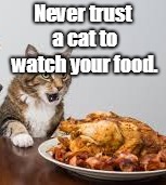 cat watch | Never trust a cat to watch your food. | image tagged in cat | made w/ Imgflip meme maker