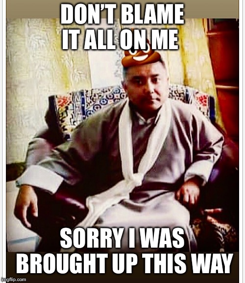DON’T BLAME IT ALL ON ME; SORRY I WAS BROUGHT UP THIS WAY | image tagged in sonam topgay tashi,douchebag,playboy,ugly guy | made w/ Imgflip meme maker