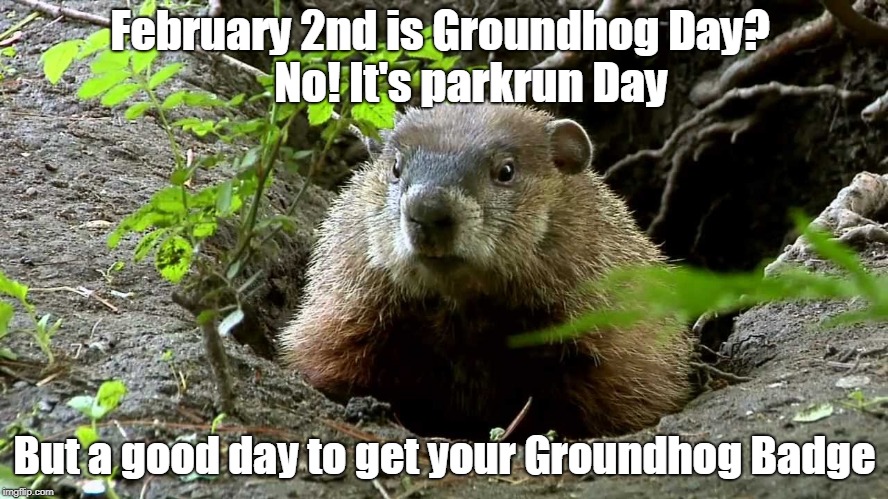 Groundhog parkrun - Imgflip