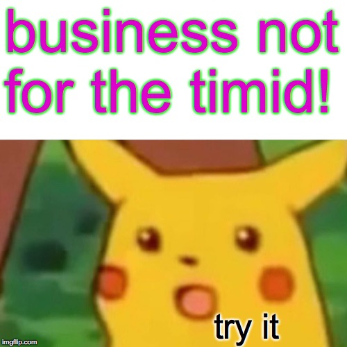 Surprised Pikachu Meme | business not for the timid! try it | image tagged in memes,surprised pikachu | made w/ Imgflip meme maker