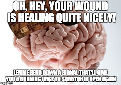 Scumbag Brain Meme |  OH, HEY, YOUR WOUND IS HEALING QUITE NICELY! LEMME SEND DOWN A SIGNAL THAT'LL GIVE YOU A BURNING URGE TO SCRATCH IT OPEN AGAIN | image tagged in memes,scumbag brain,AdviceAnimals | made w/ Imgflip meme maker