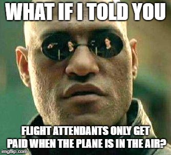 What if i told you | WHAT IF I TOLD YOU; FLIGHT ATTENDANTS ONLY GET PAID WHEN THE PLANE IS IN THE AIR? | image tagged in what if i told you,AdviceAnimals | made w/ Imgflip meme maker